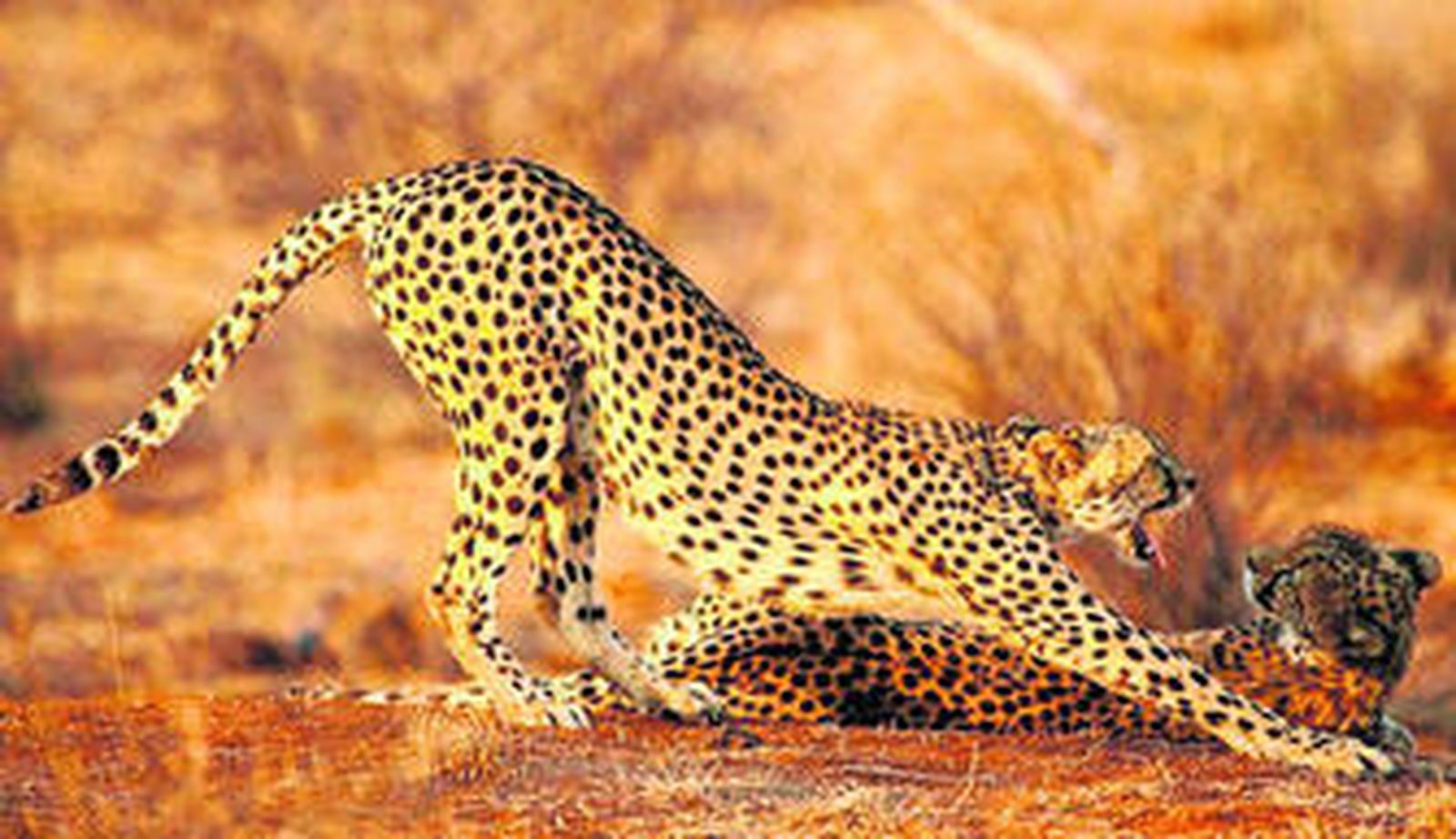 La naturaleza como el mejor modelo para la fotografía