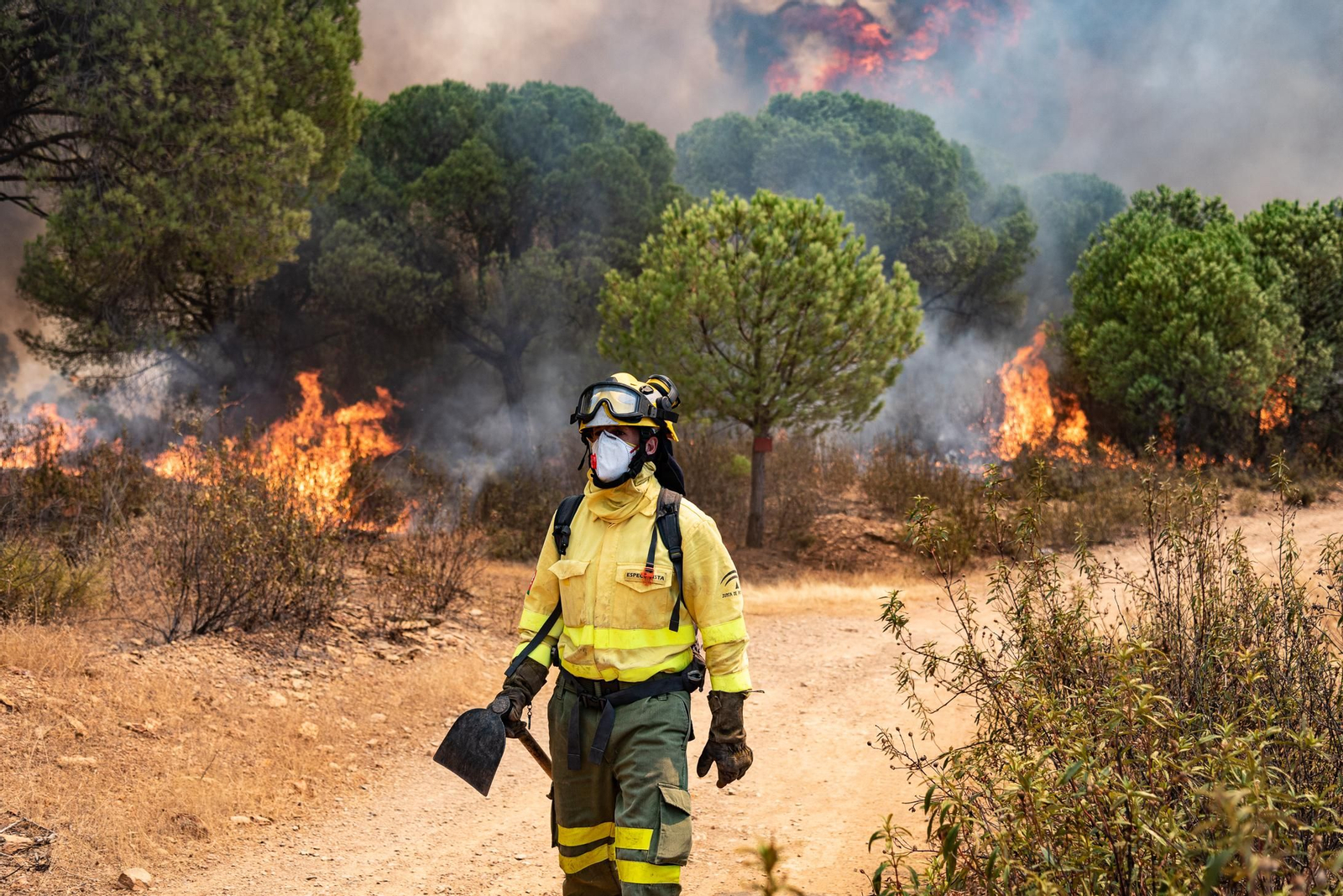 Imágenes del incendio de Almonaster a su paso por Zalamea