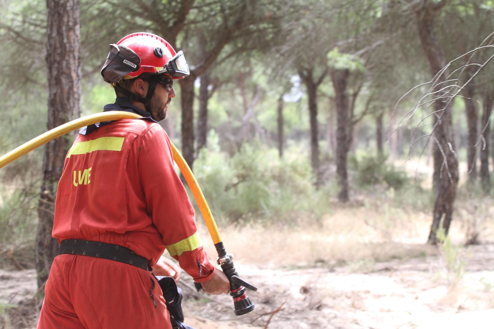 Las imágenes del incendio en Moguer y Mazagón