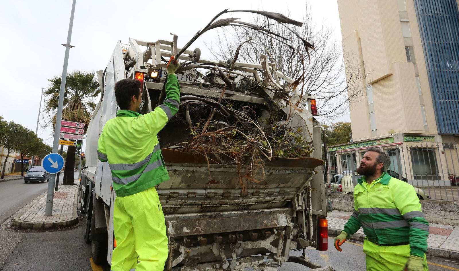 Operarios municipales retiran ramas caídas por el viento ayer en la avenida Duque de Abrantes.