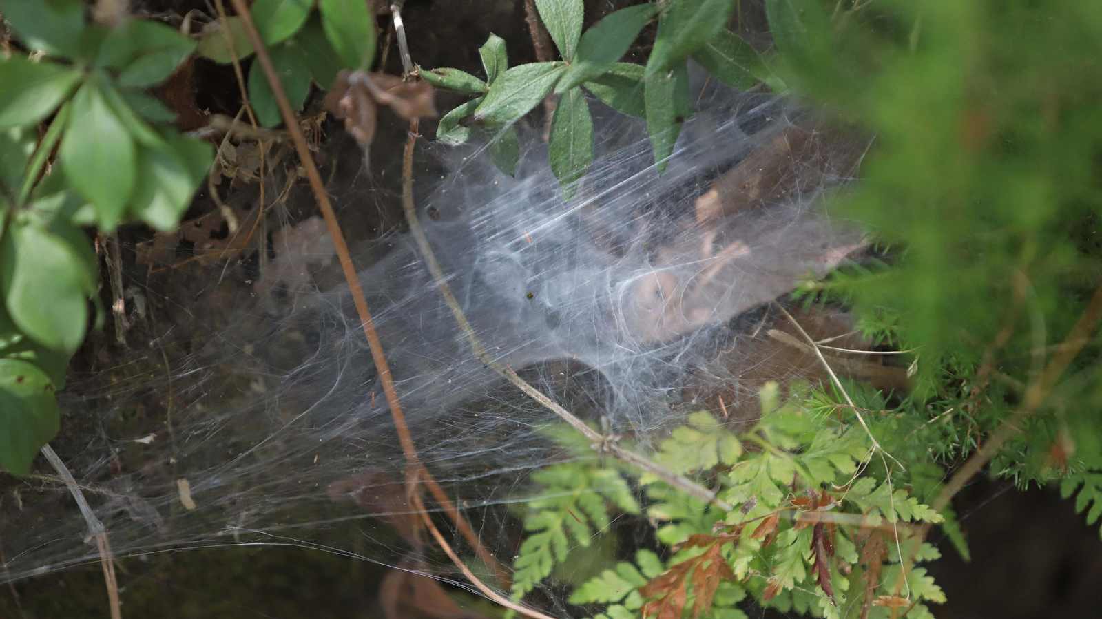Las mejores fotos de la Montera del Torero y Valdeinfierno