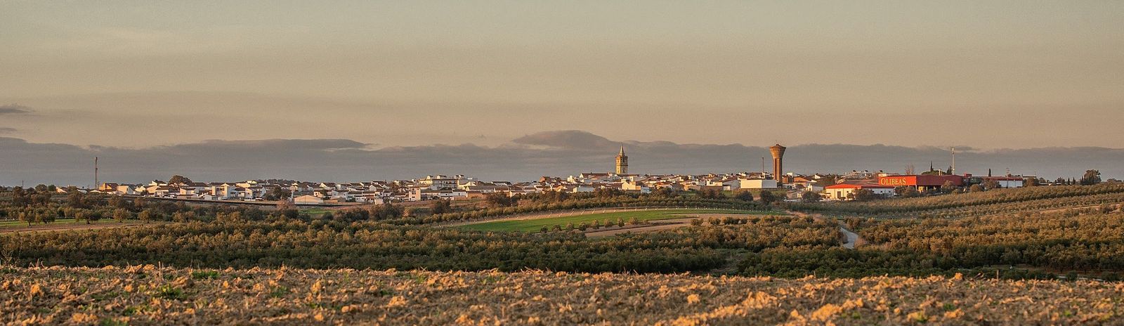 Beas celebra su tradicional Feria del Aceite de Oliva Virgen Extra