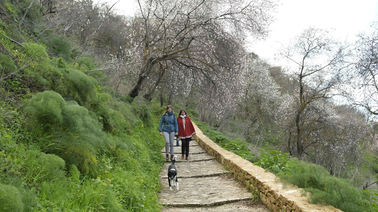 Bajada el Tajo de Ronda