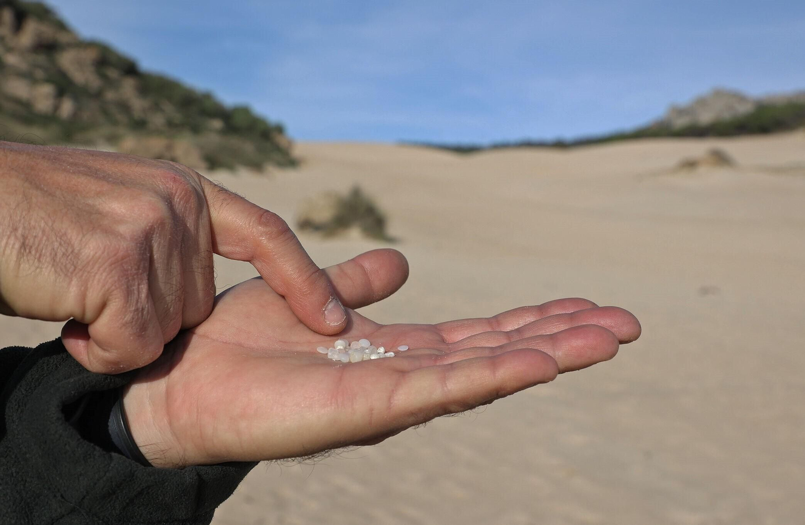 Pellets recogidos en la playa de Bolonia, en Tarifa.