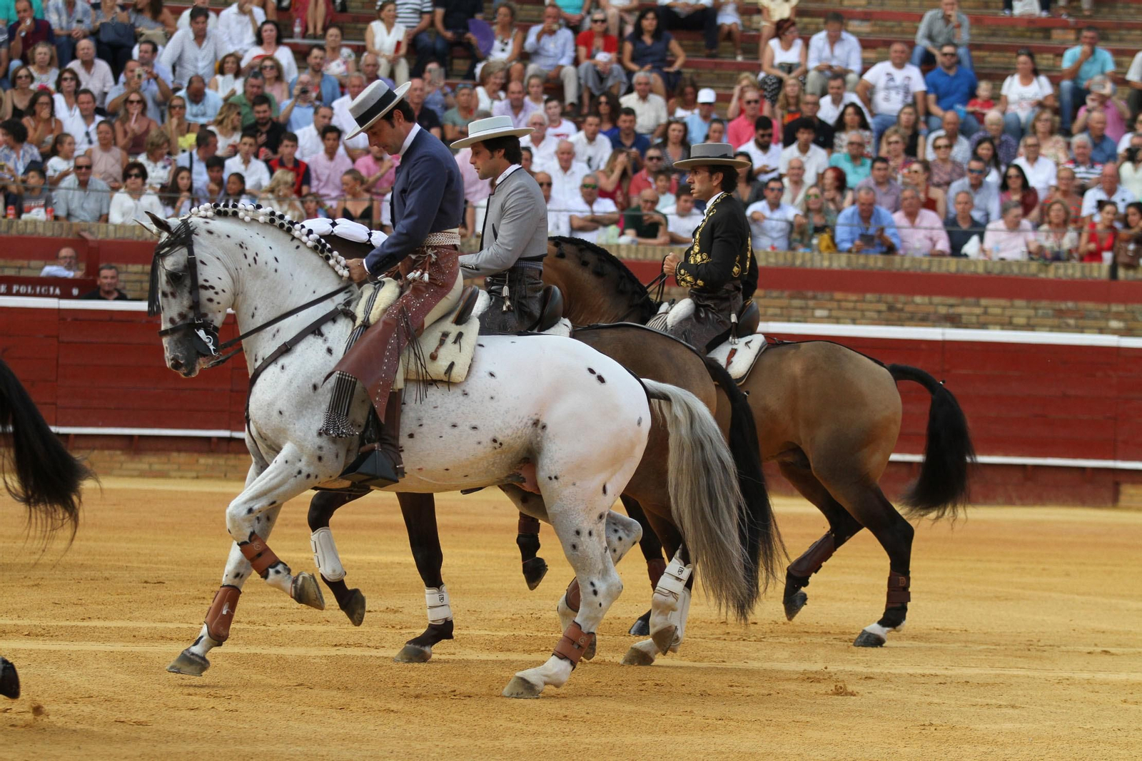 Festejo de Rejones en el coso de La Merced por Colombinas.