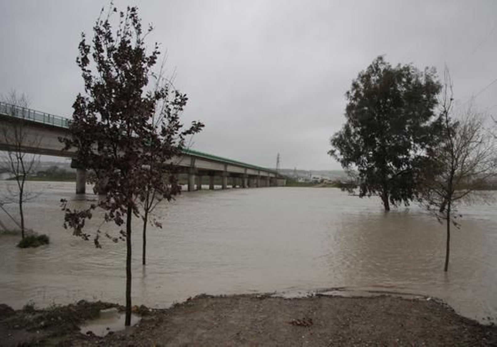 Foto: Victoria Hidalgo/Juan Carlos Muñoz