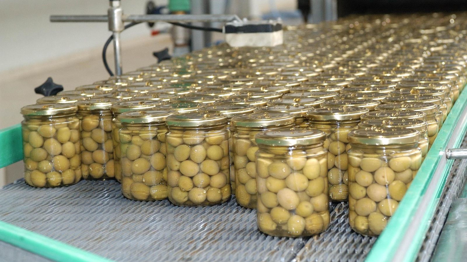 Aceituna de mesa, uno de los productos que más exporta la provincia de Sevilla.