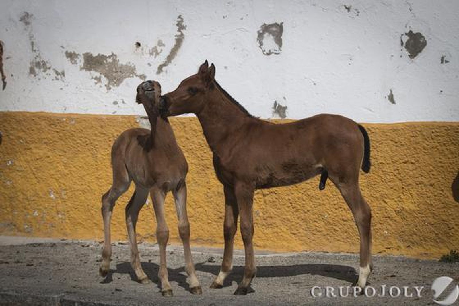 Foto: Antonio Pizarro