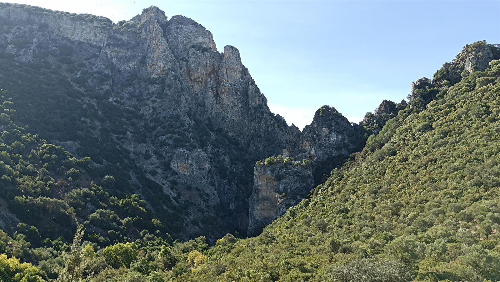 Se trata de una reserva natural y no es posible acercase más.