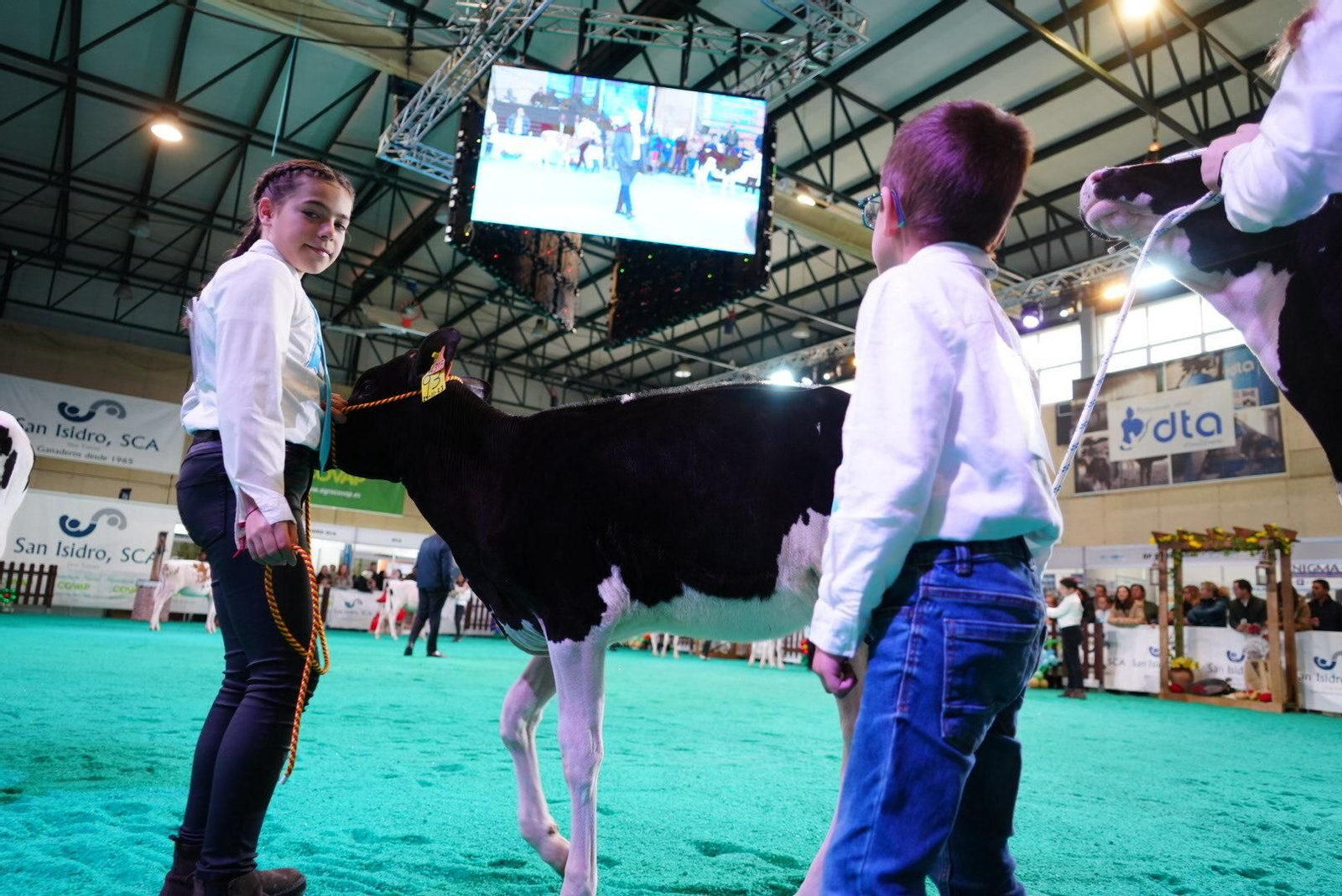 El Gran Campeonato de Novillas de la XVI Feria de Ganado Frisón Usías Holsteins de Dos Torres, en imágenes