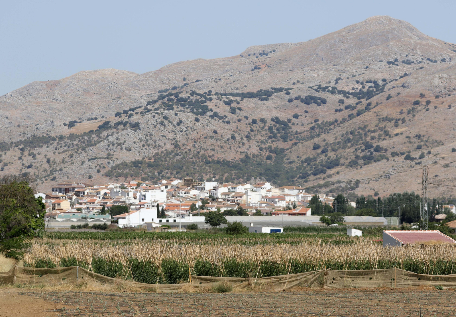 Vista de Zafarraya, uno de los tres municipios donde se harán cribados masivos