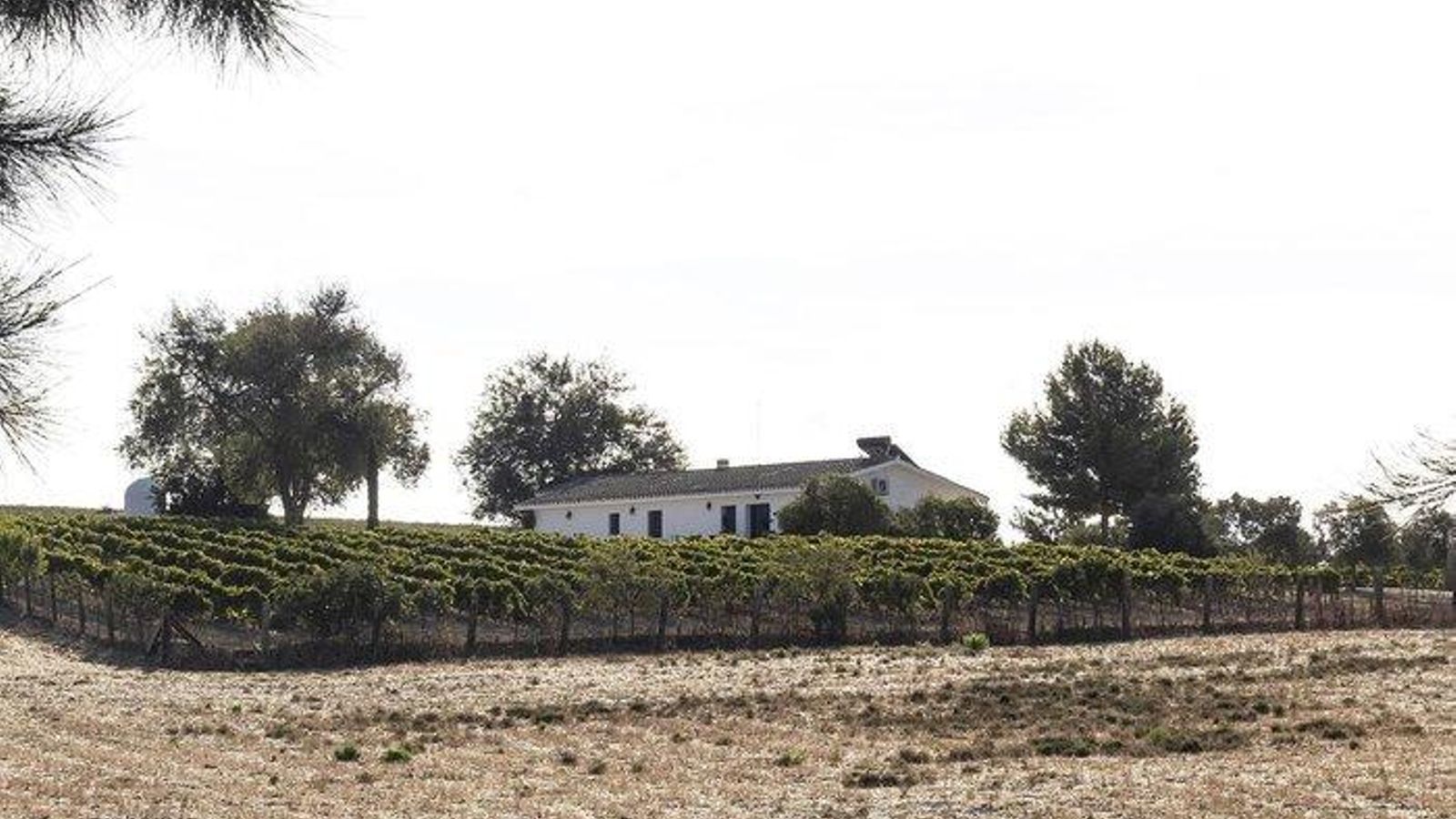 'Afinando', cata de finos en Viña La Zarzuela.