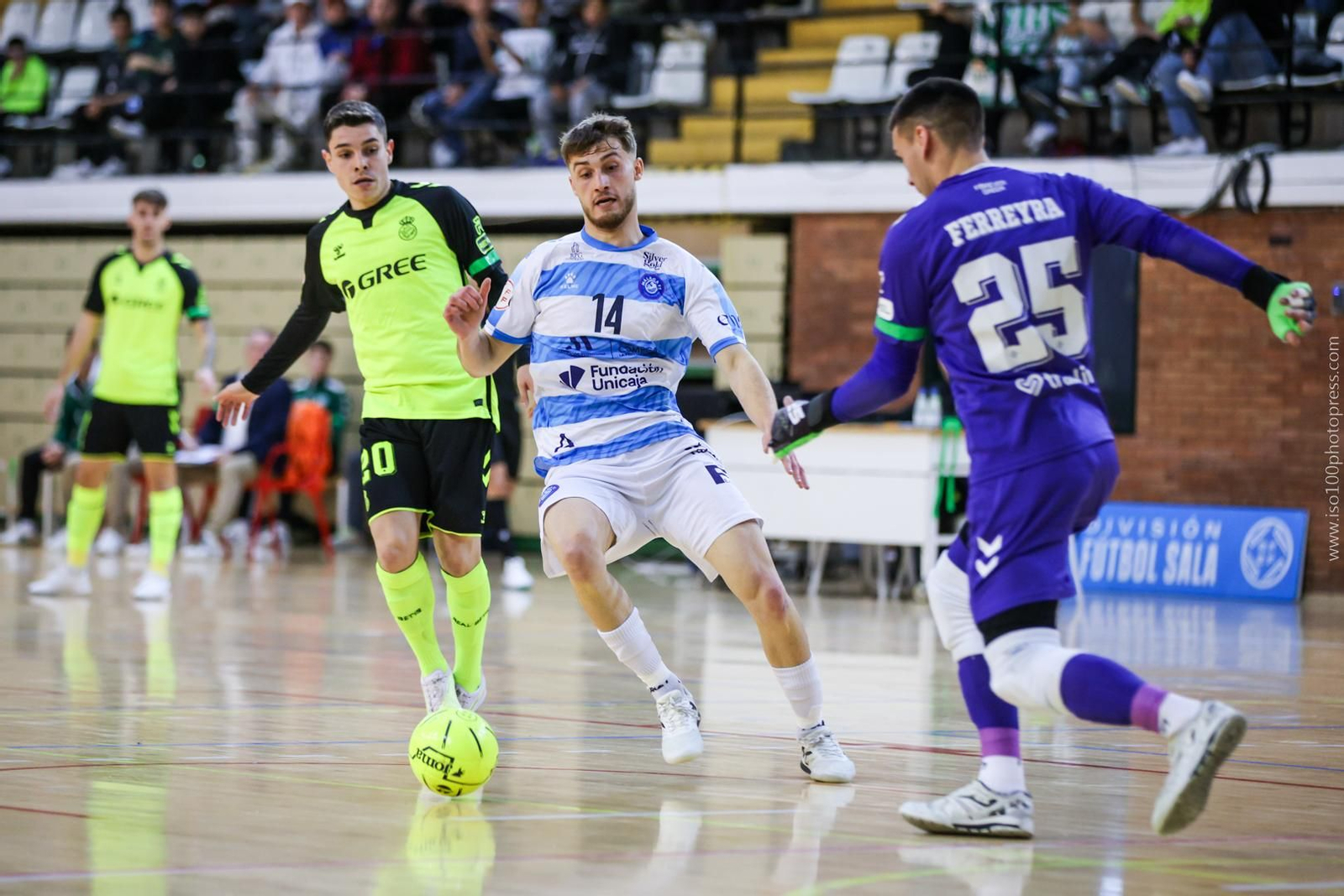 Málaga Ciudad Redonda-Betis: El líder cae en Carranque (5-4) Málaga Ciudad Redonda-Betis: El líder cae en Carranque (5-4)
