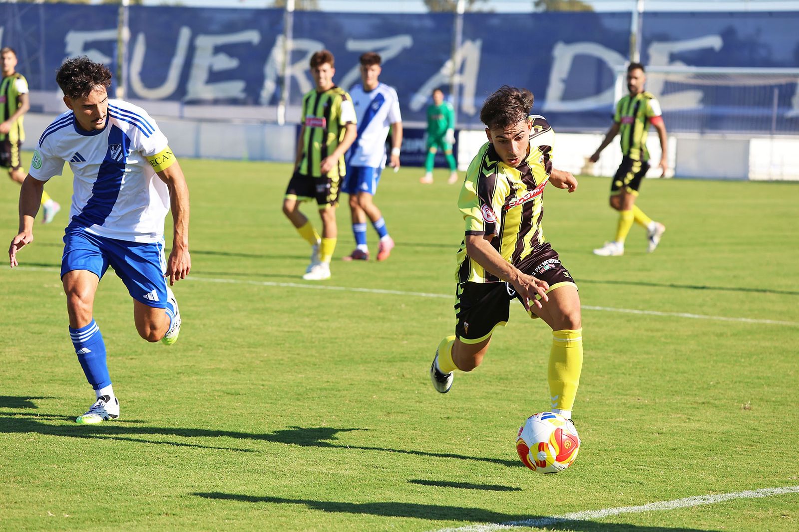 Cachorro persigue a Ritoré.