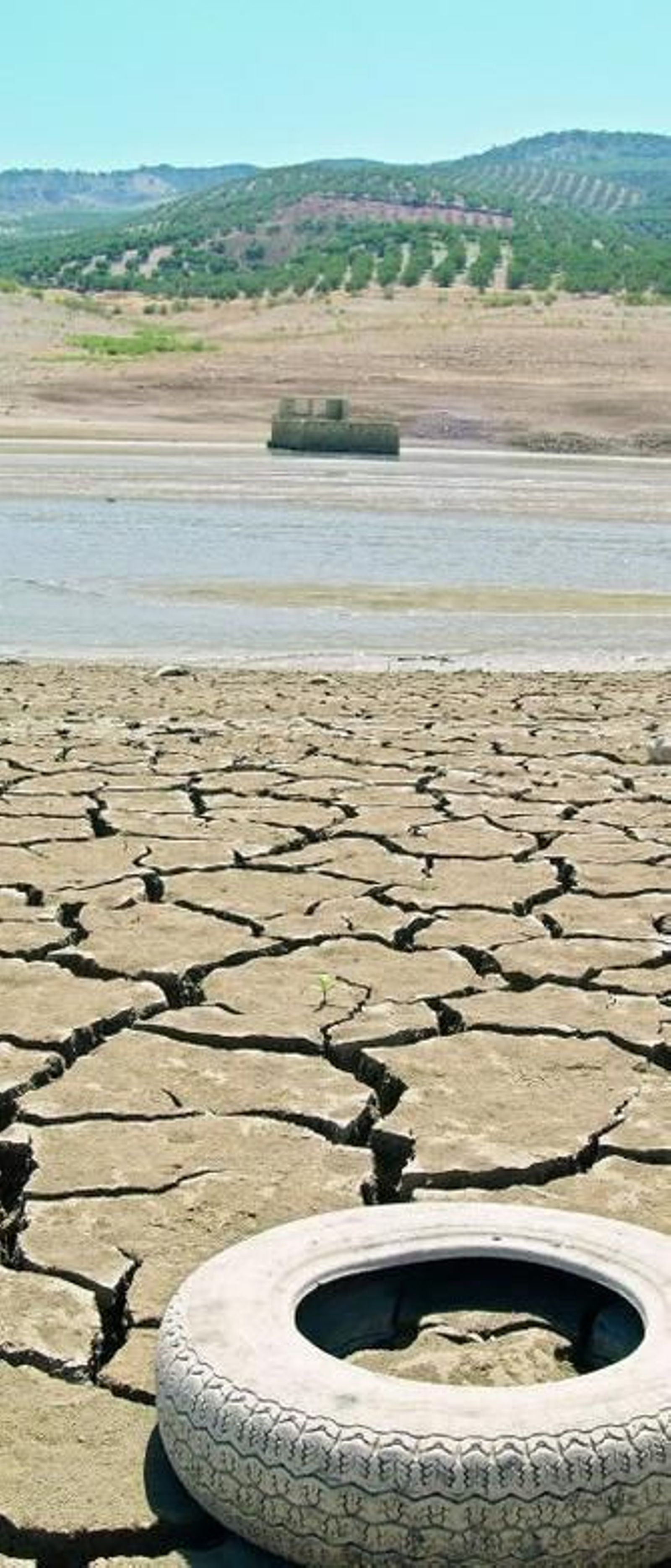 Tierra agrietada y basura.