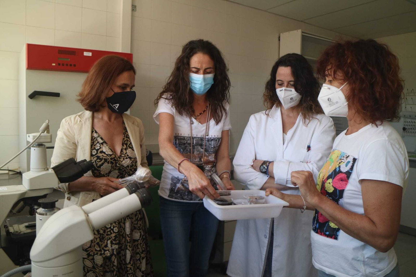 Un análisis descarta que la enfermedad de La Peana de Serón sea por un hongo