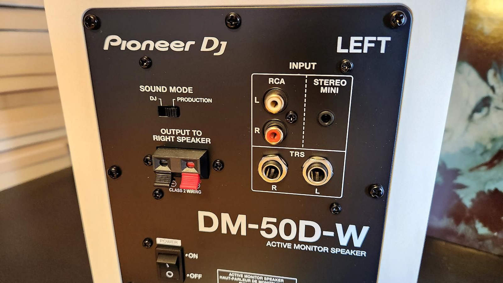Altavoces Pioneer DJ DM-50D