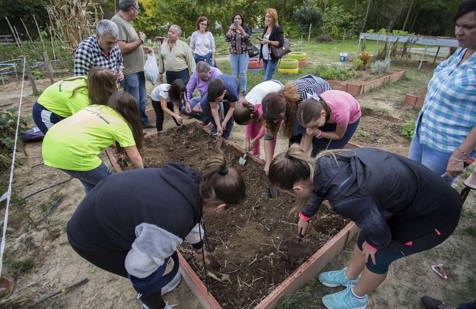 Los asistentes descubren los beneficios que reportan los huertos de ocio para los onubenses que se encargan de sus cuidados en el Parque Moret.
