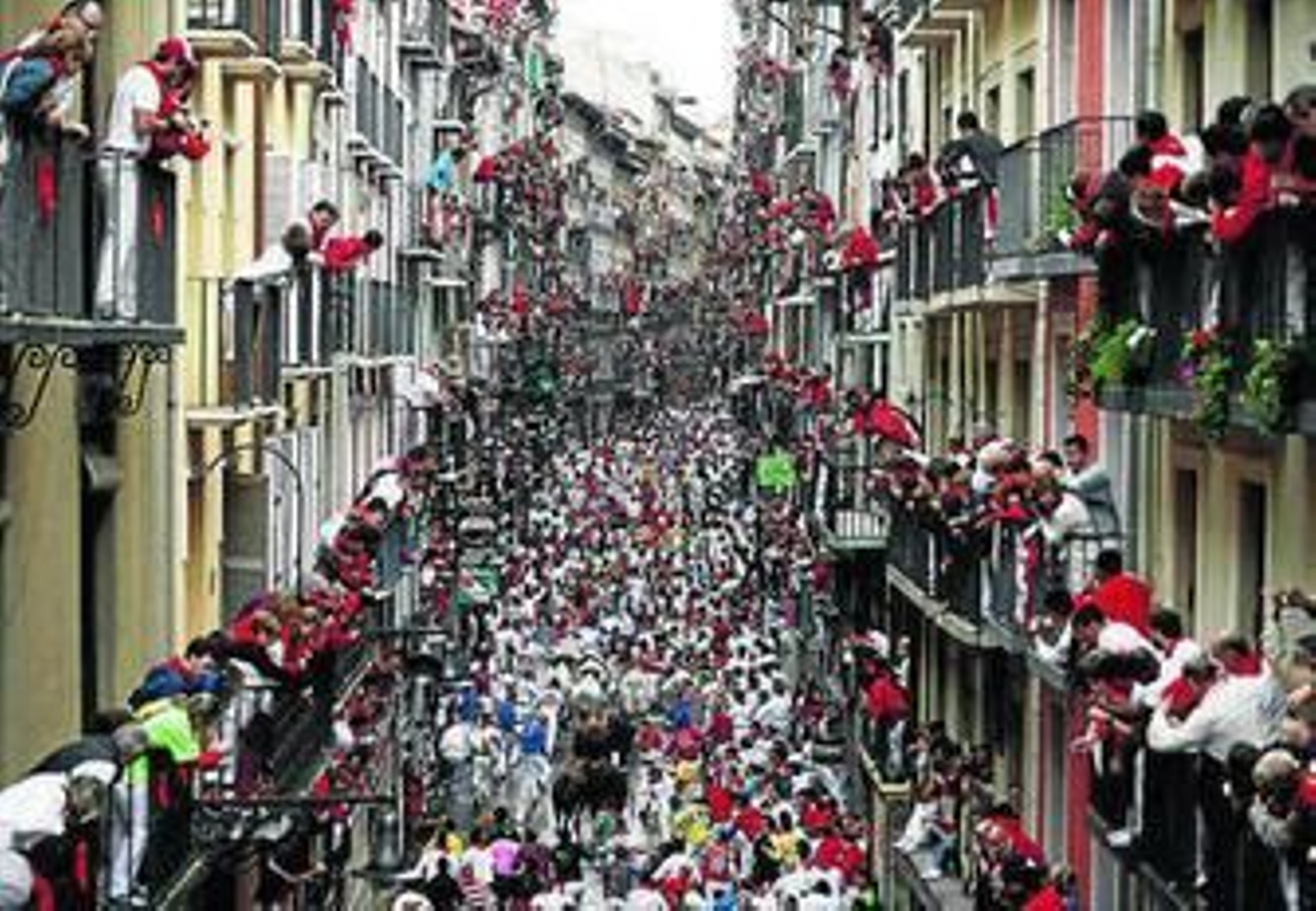 Los toros se abren camino en una Estafeta abarrotada de corredores.