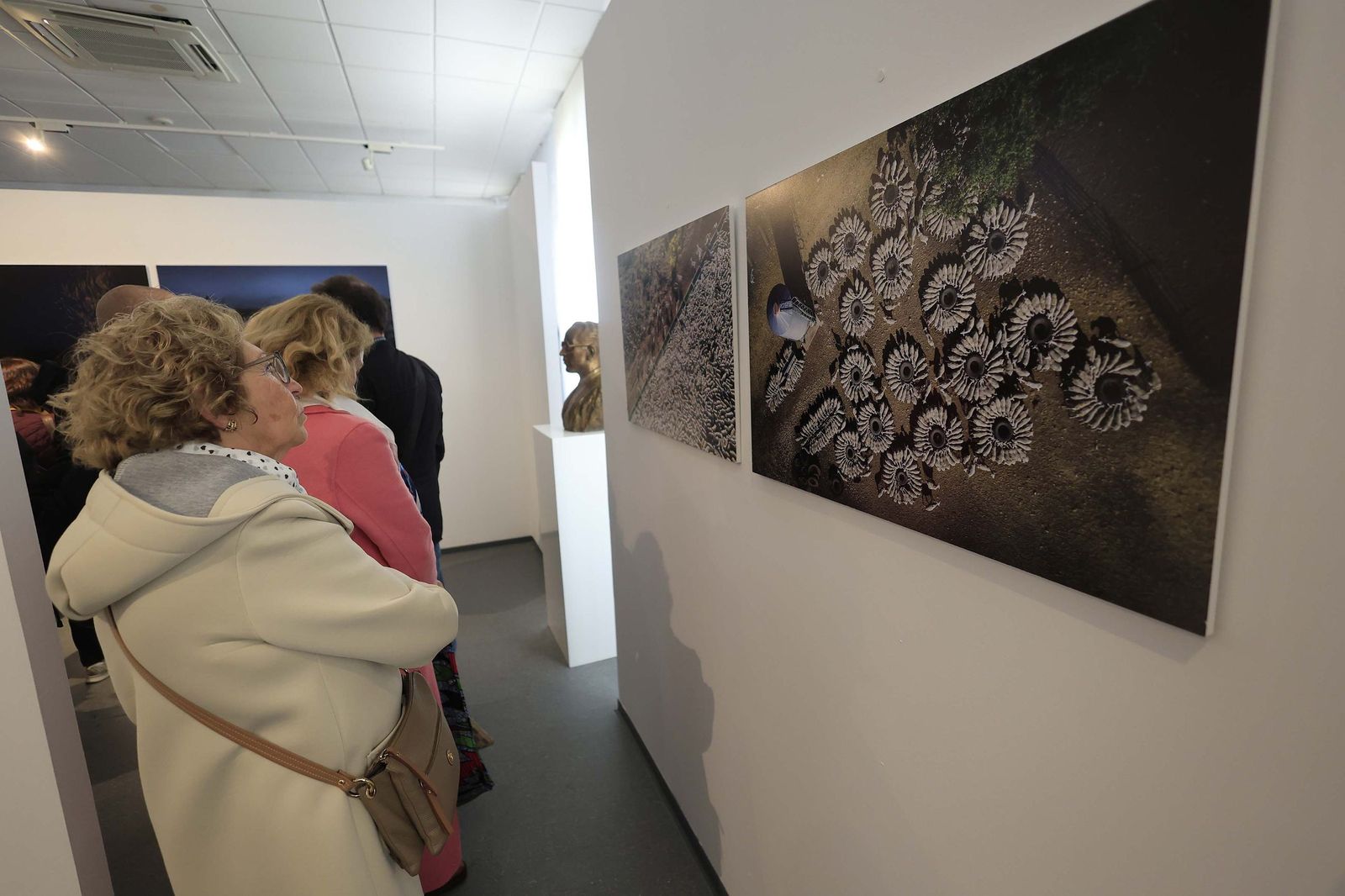 Fotos de la exposición 'Yerba, el corazón verde de la transhumancia' de Katy Muñoz