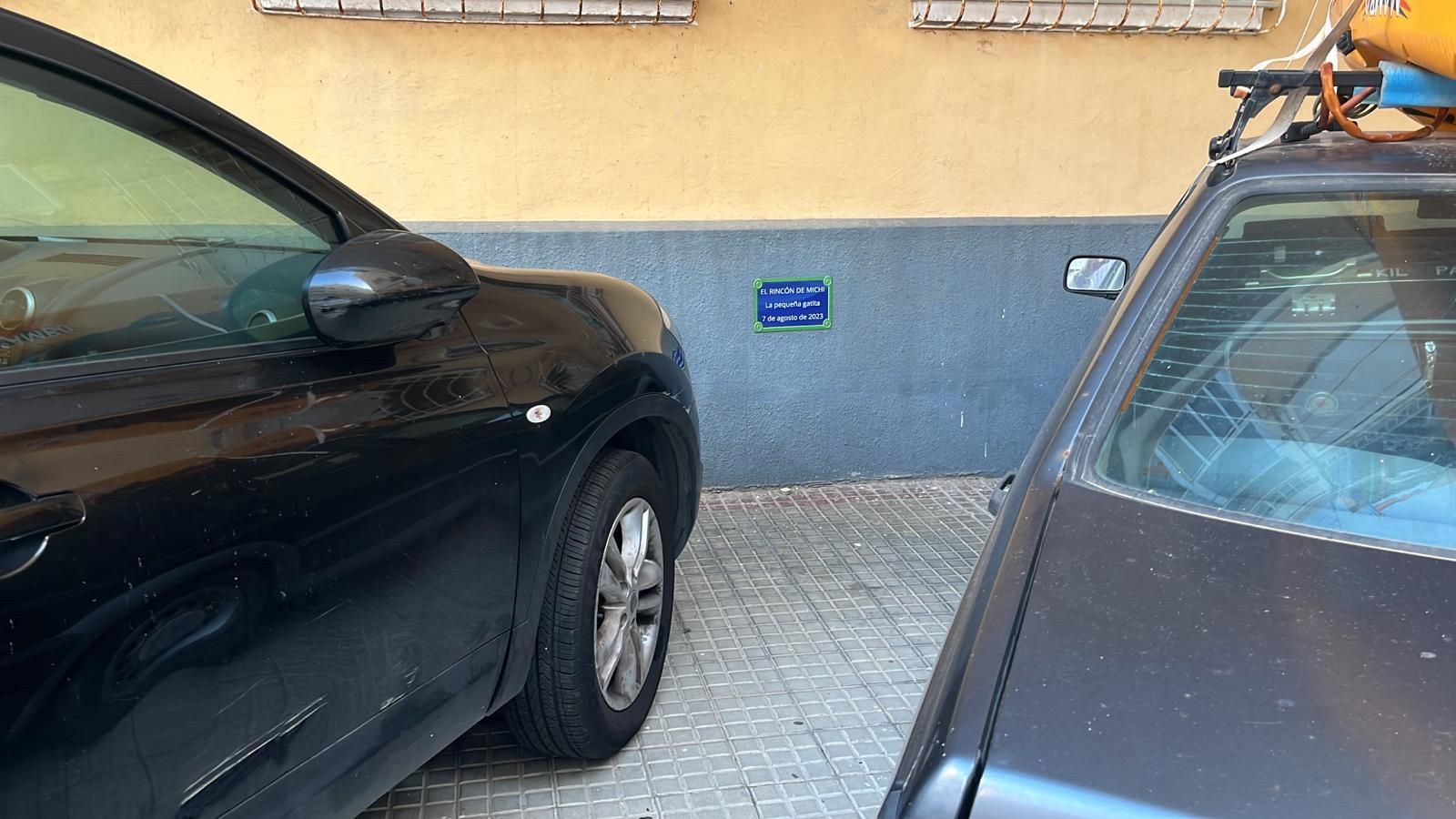 En ese lugar era fácil encontrar a la pequeña gata Michi.