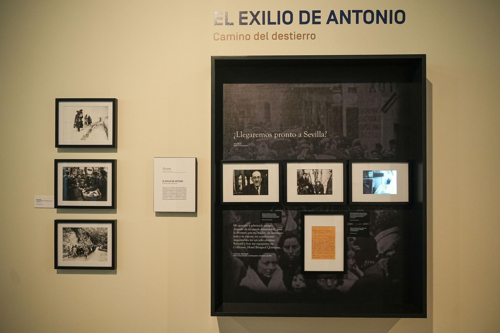 Las imágenes de la visita del Rey a la exposición de los Hermanos Machado en Sevilla