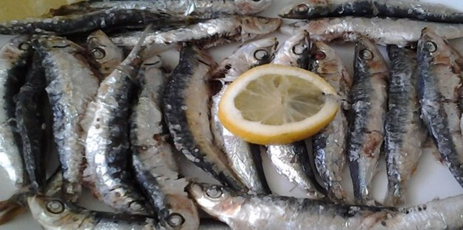 Juveniles inmaduros de sardinas consumidas como 'manolitas'.