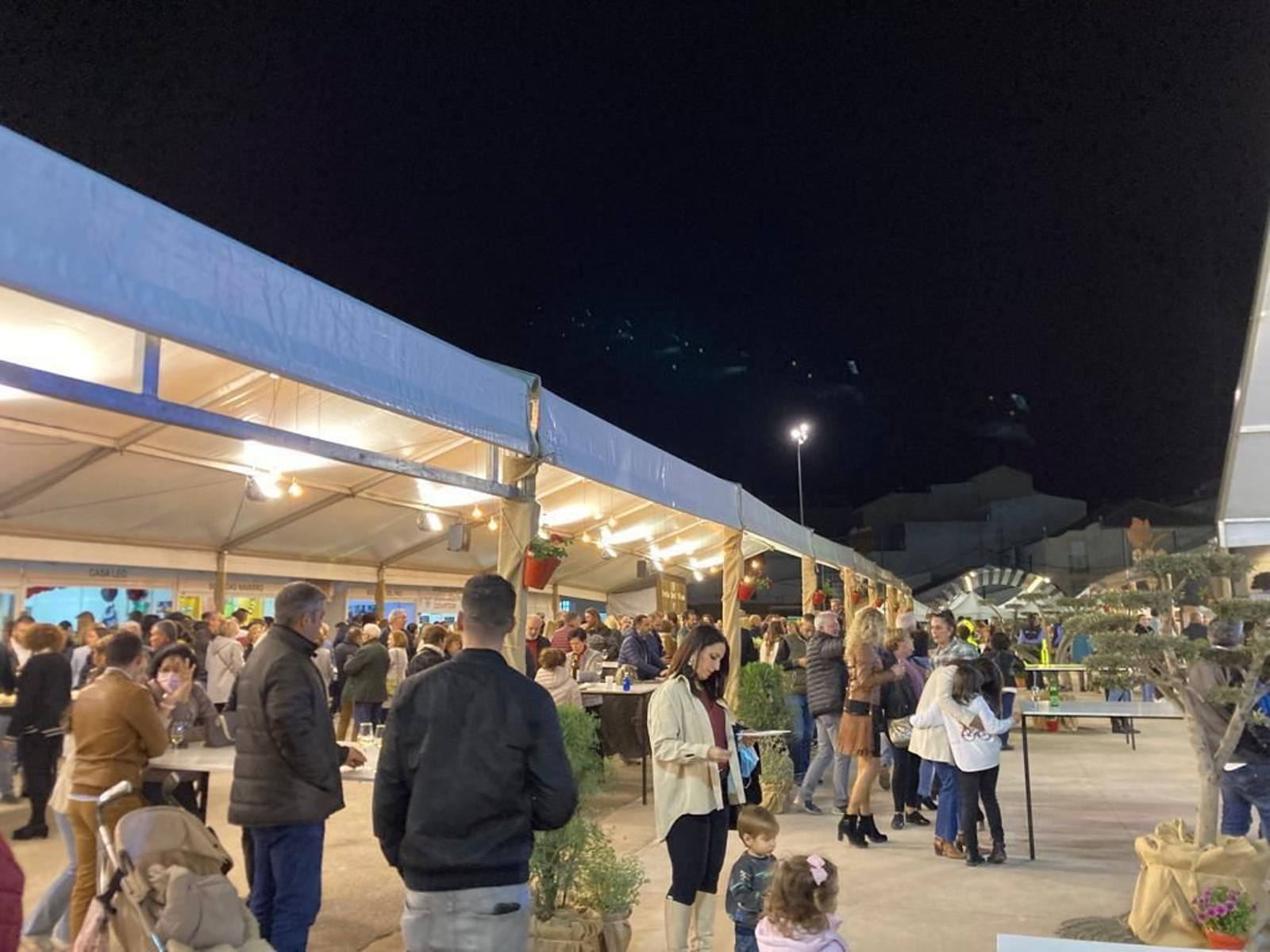 La inauguración de la Feria del Vino de Tinaja en Montalbán, en imágenes