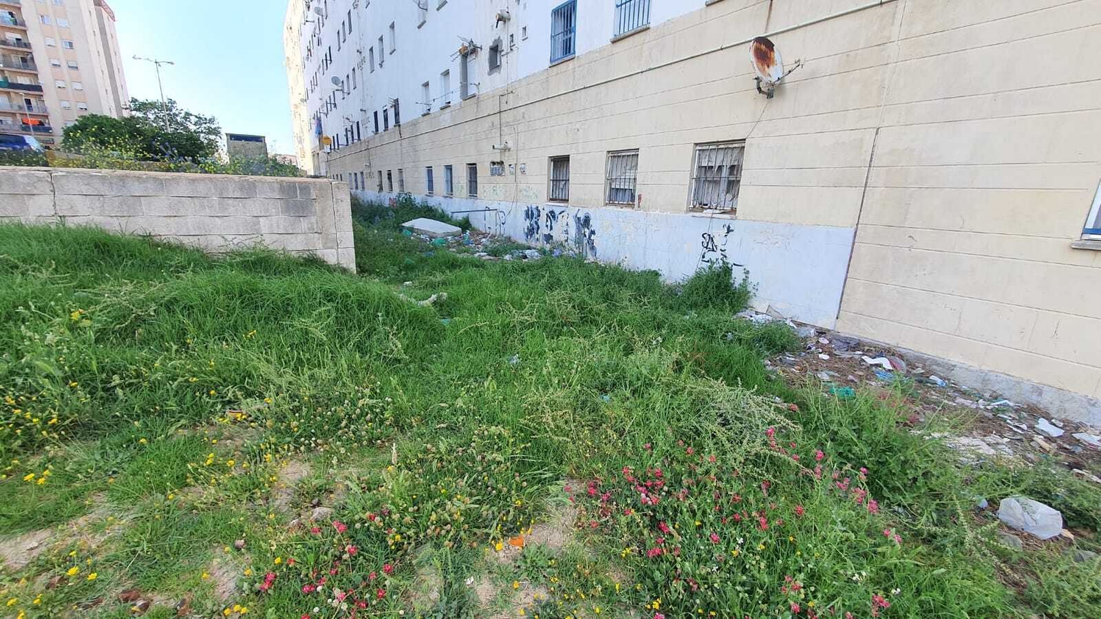 Una calle sin desbrozar en El Saladillo