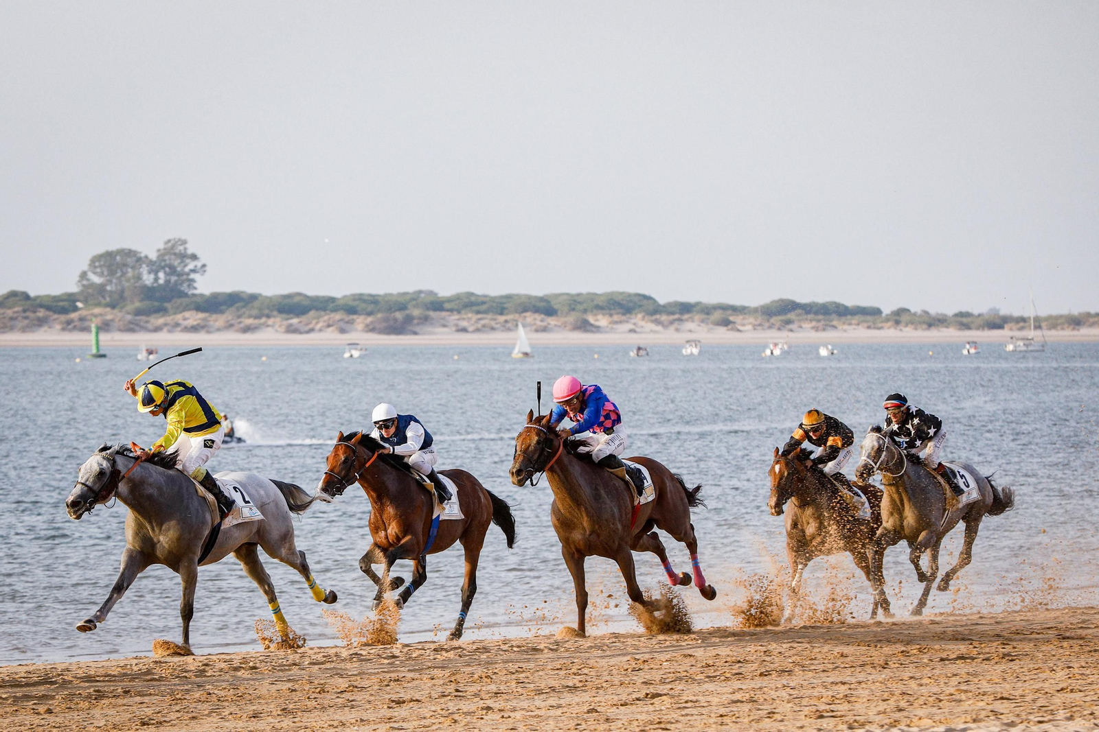 Imágenes de la segunda jornada del ciclo inicial de las Carreras de Caballos de Sanlúcar 2025