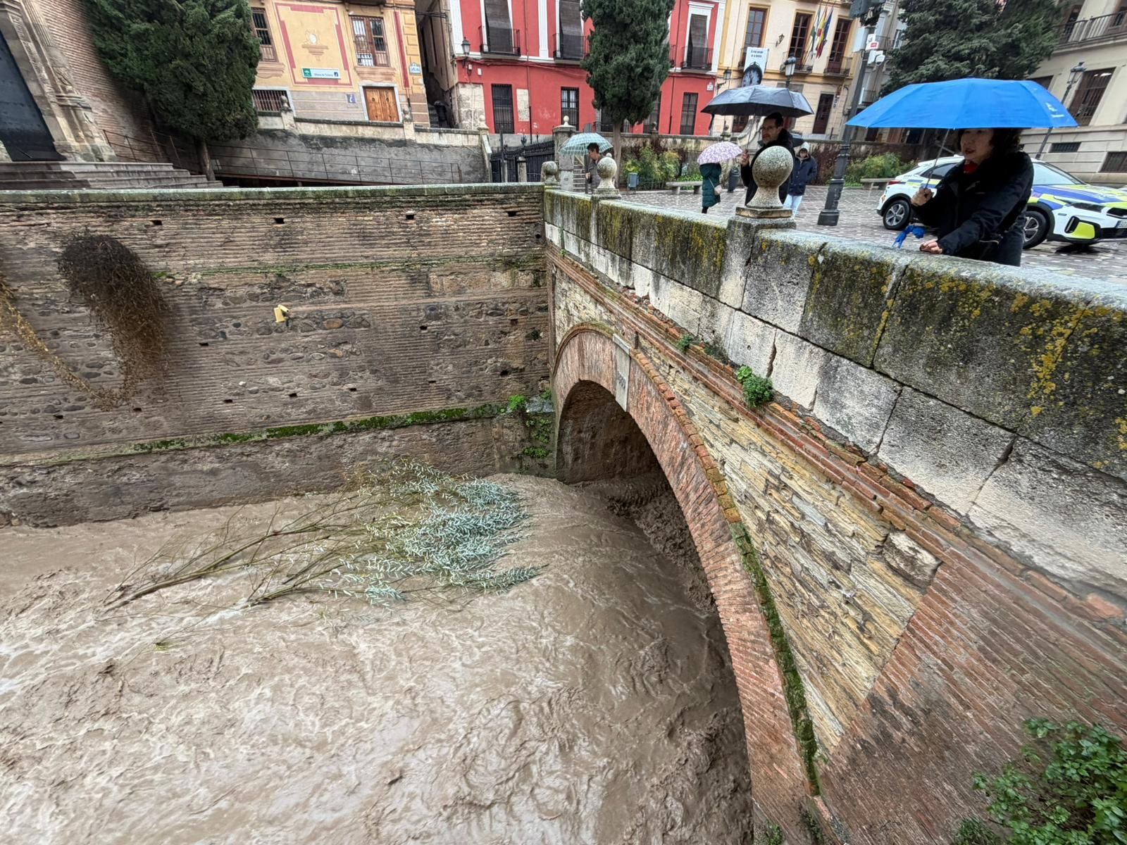 WhatsApp Image 2026-02-04 at 11.41.19