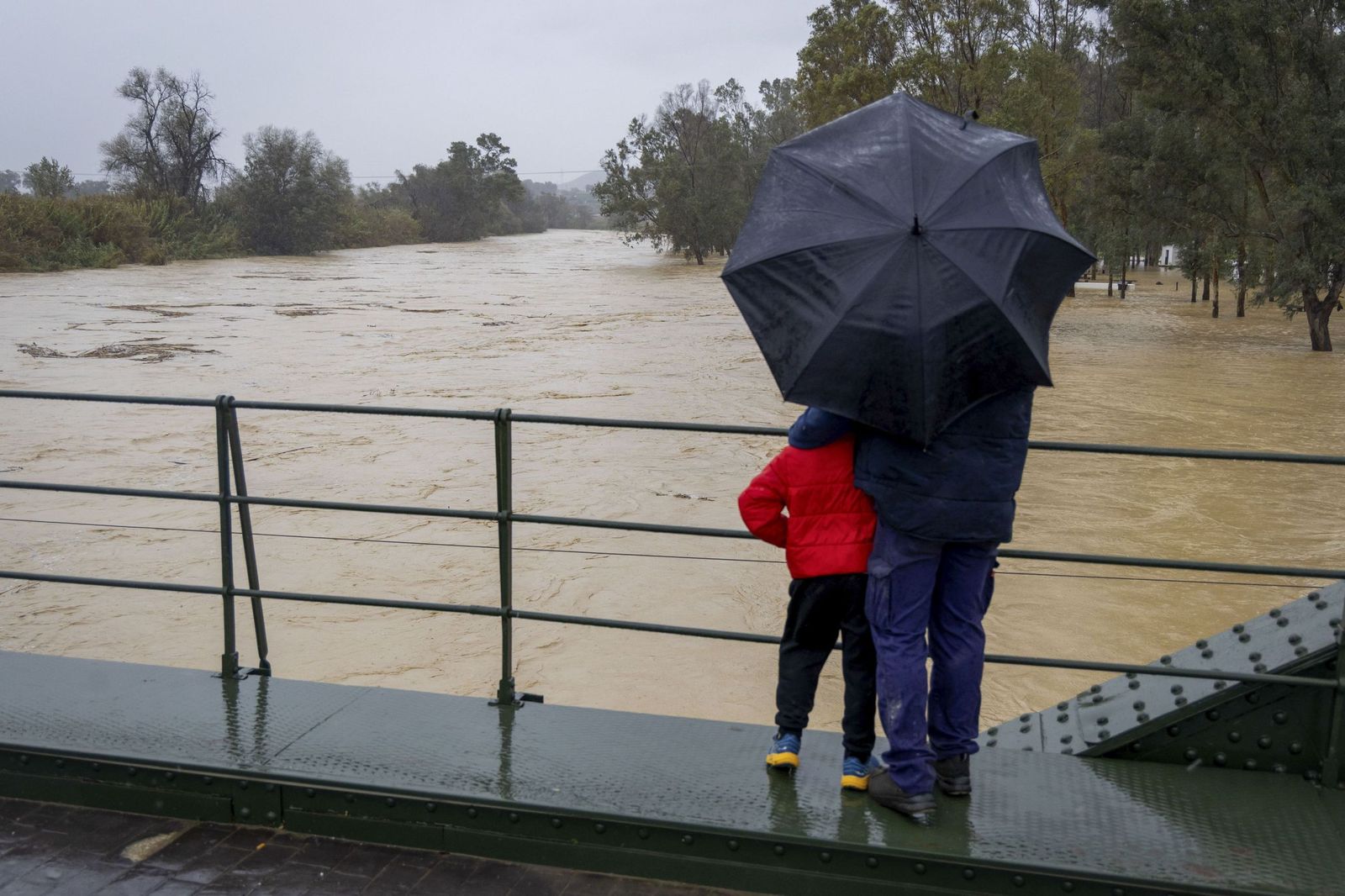 El río Guadalhorce, a su paso por Cártama, este pasado enero.