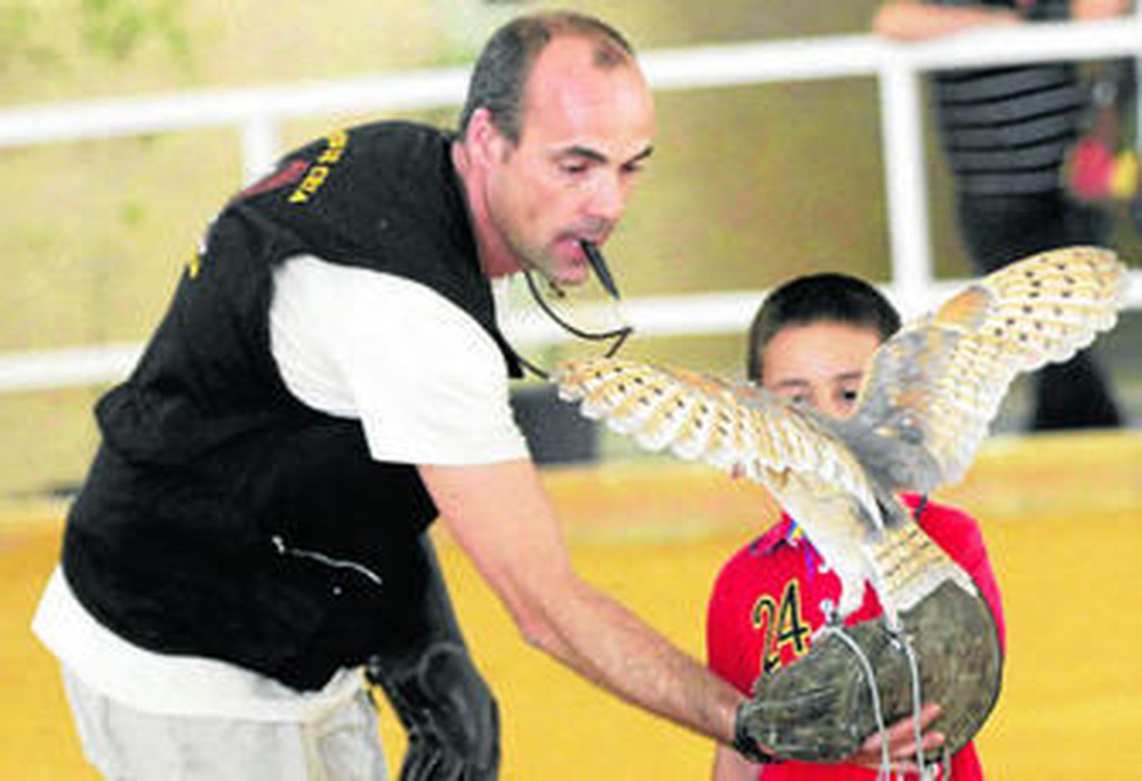 Exhibición de cetrería ayer en las instalaciones de Ifeca a cargo de un monitor en presencia de un niño.