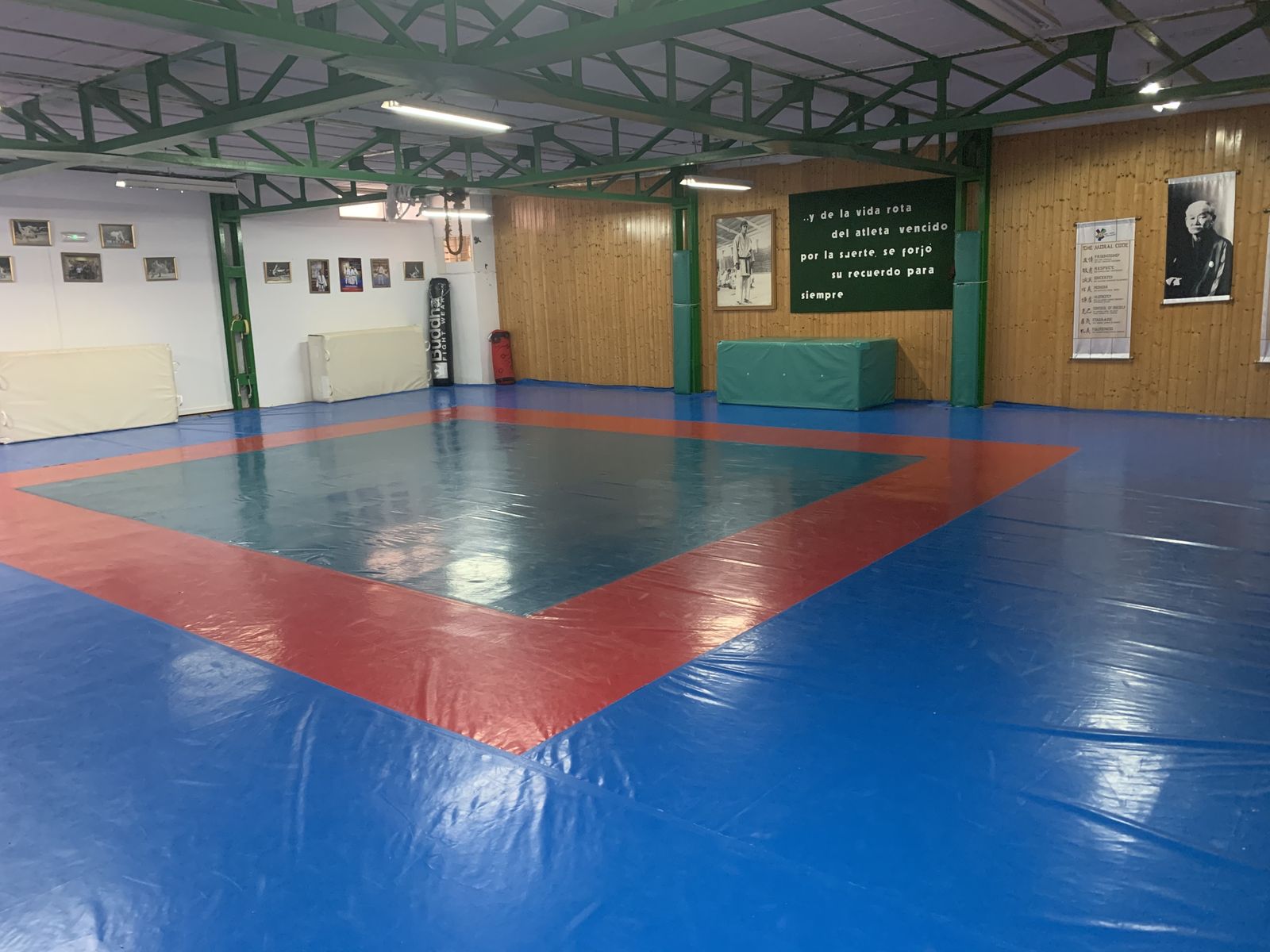 Vista del tatami del Gimnasio Ippon Raúl Calvo de la capital gaditana.