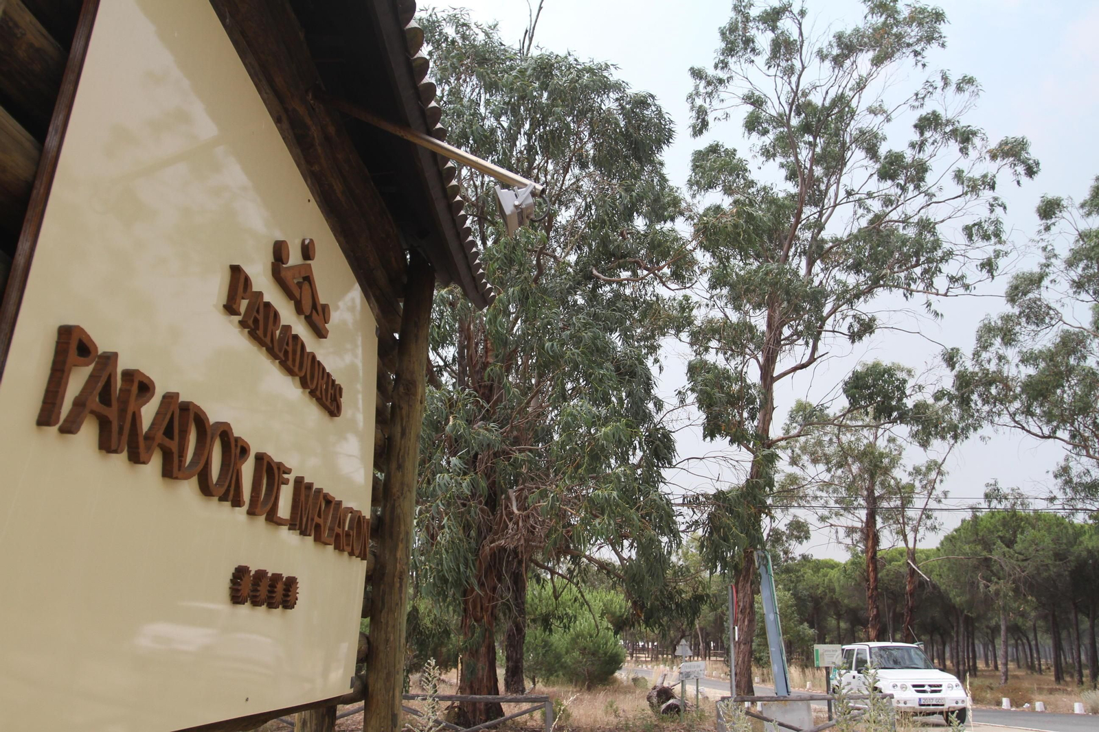 Las imágenes del incendio en Moguer y Mazagón