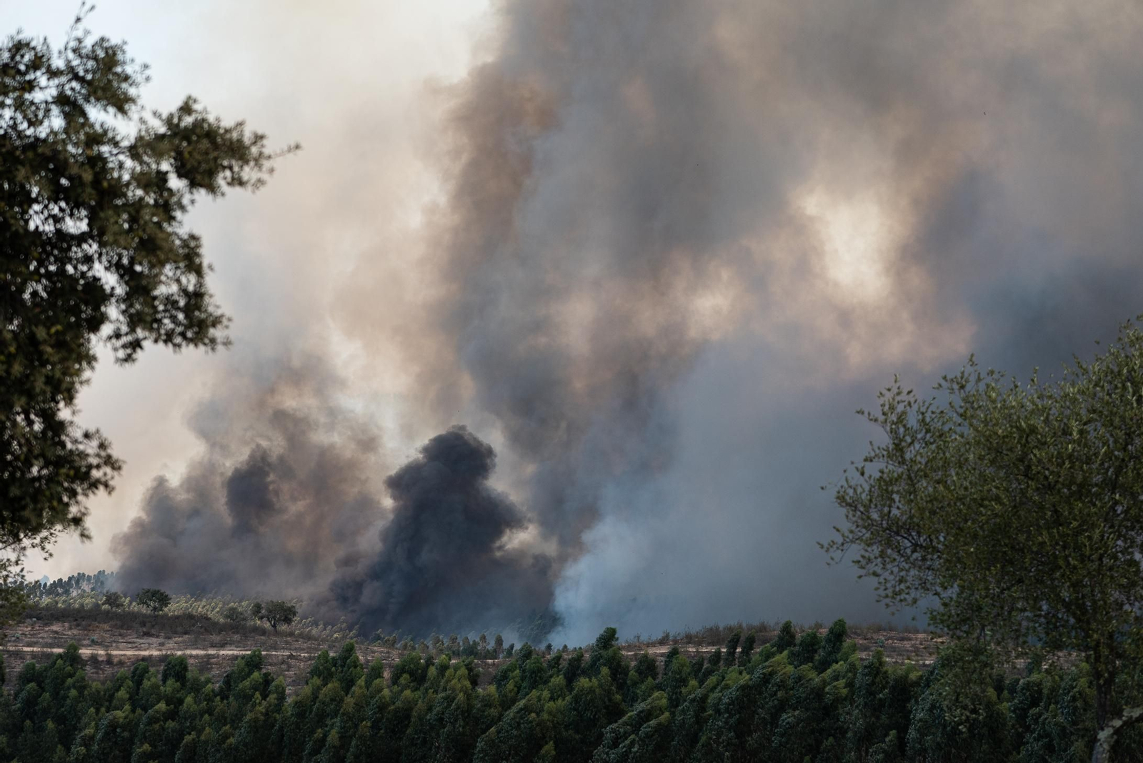 Imágenes del incendio de Almonaster a su paso por Zalamea