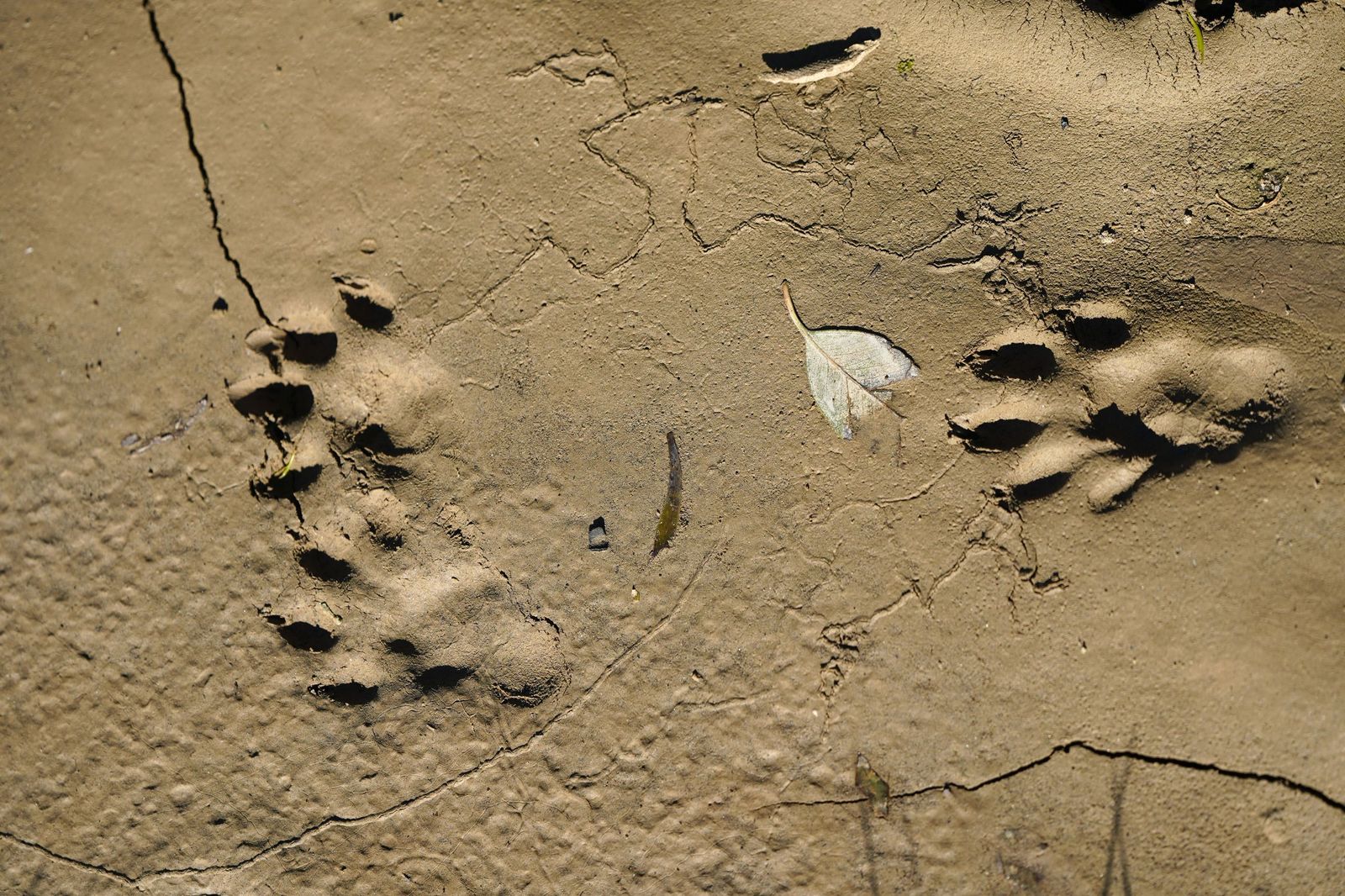 Fotos de la contaminación en el paraje natural marismas del Río Palmones