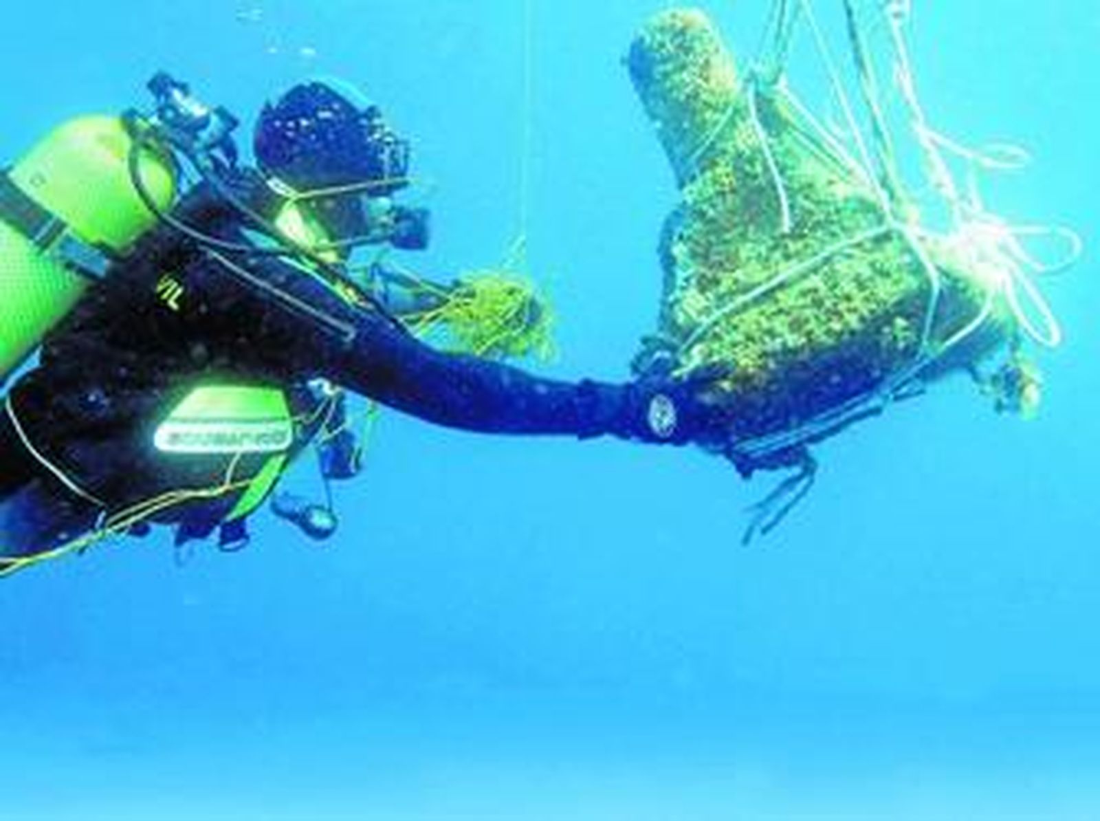 Momento del traslado de la talla.