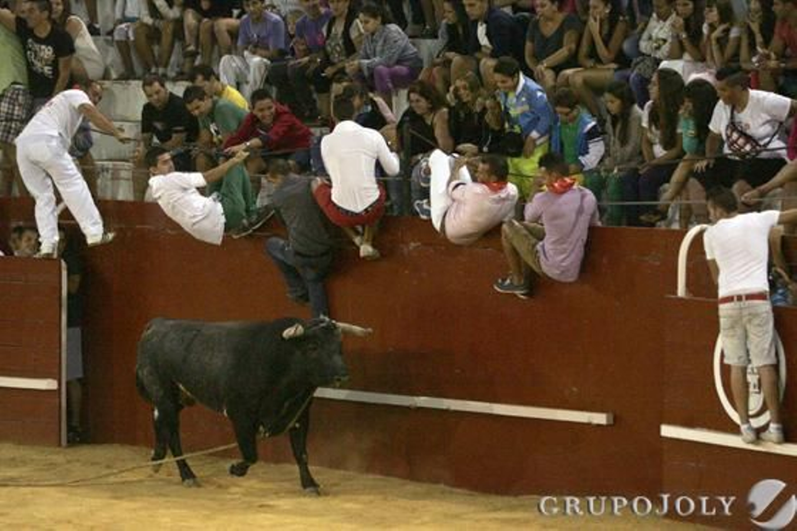 Una imagen del toro cercano a las gradas

Foto: José María Quiñones