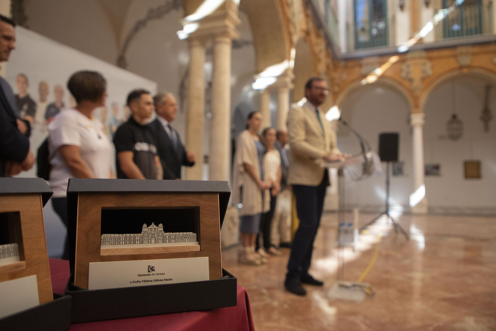 foto_recepcin-por-parte-de-la-corporacin-provincial-a-los-deportistas-olmpicos_06_53985112793_o.jpg
