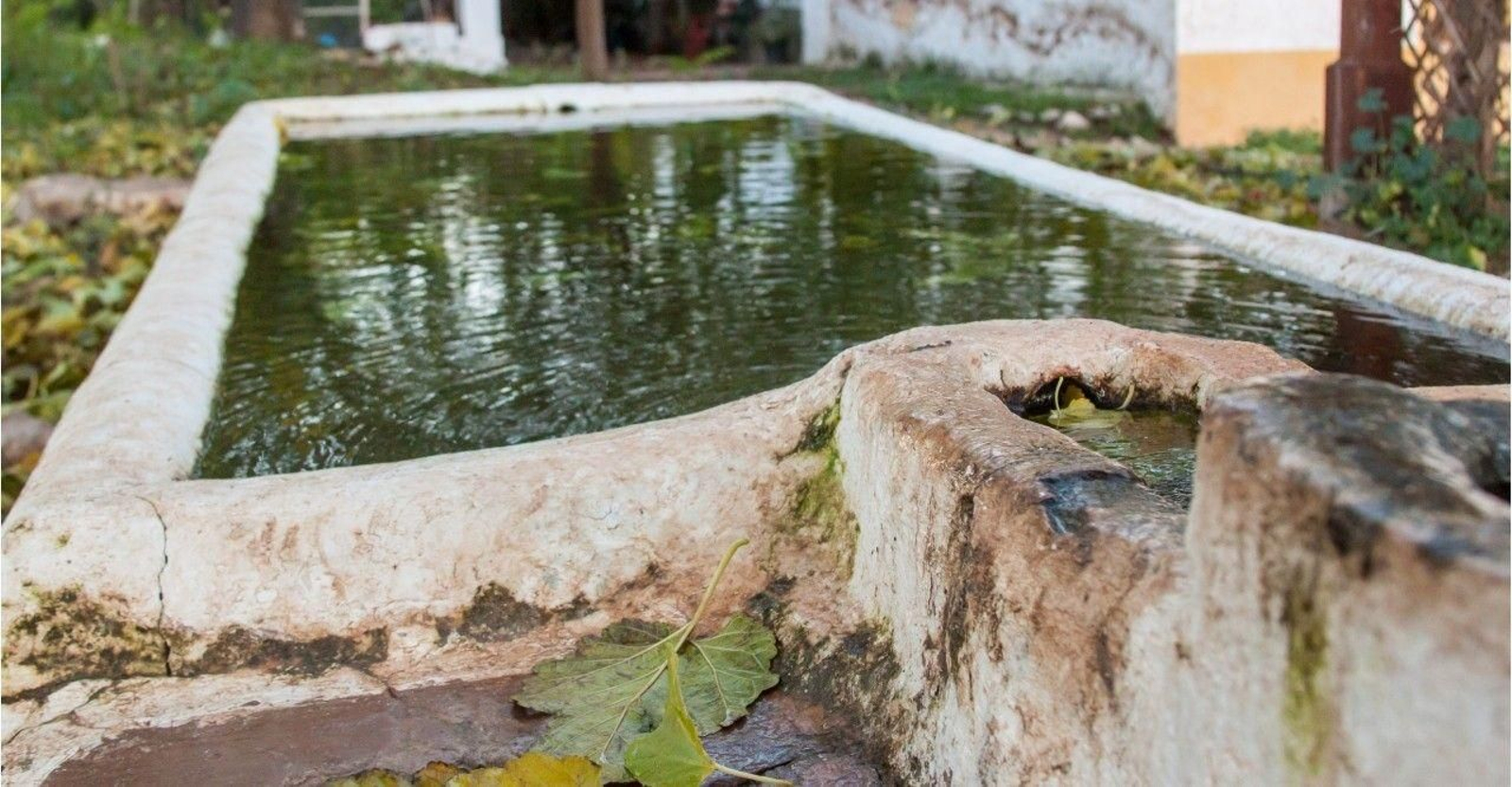 Fuente de Ventarique.