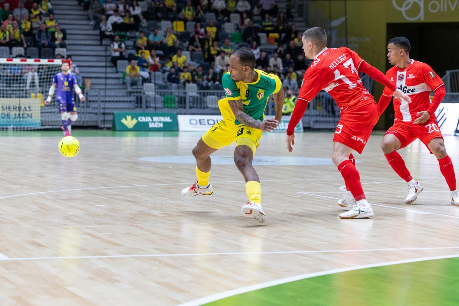 En imágenes: la afición y mejores jugadas del Jaén FS - Jimbee Cartagena