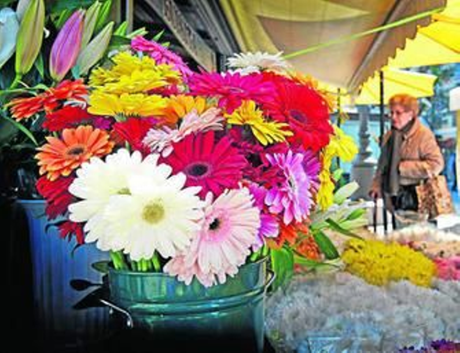 Flores muy molestas para algunos por culpa de las alergias.