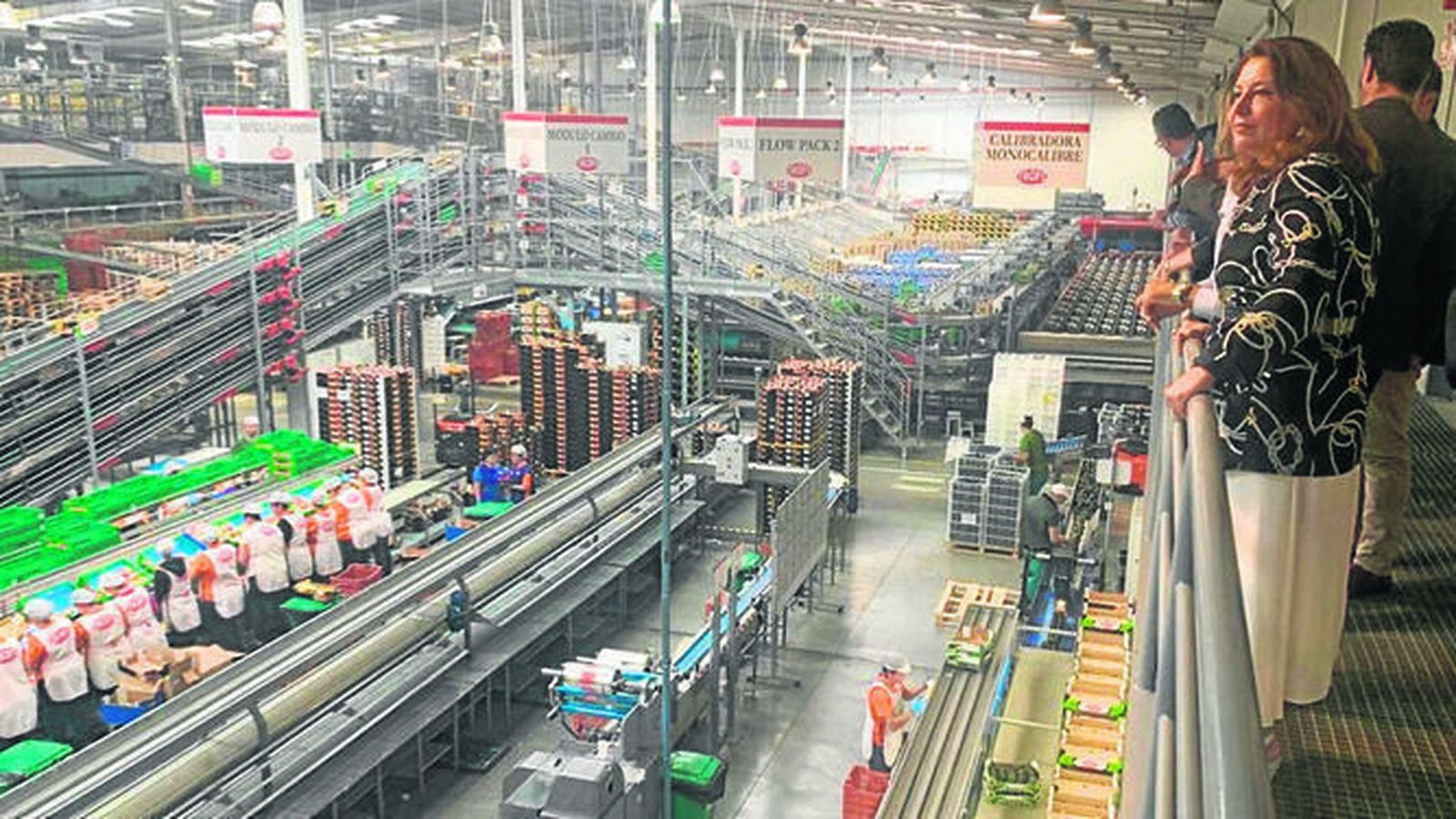 El Servicio Andaluz de Empleo ha definido una protocolo de actuación que permite a las empresas difundir sus ofertas y encontrar profesionales a través de la plataforma GEA.