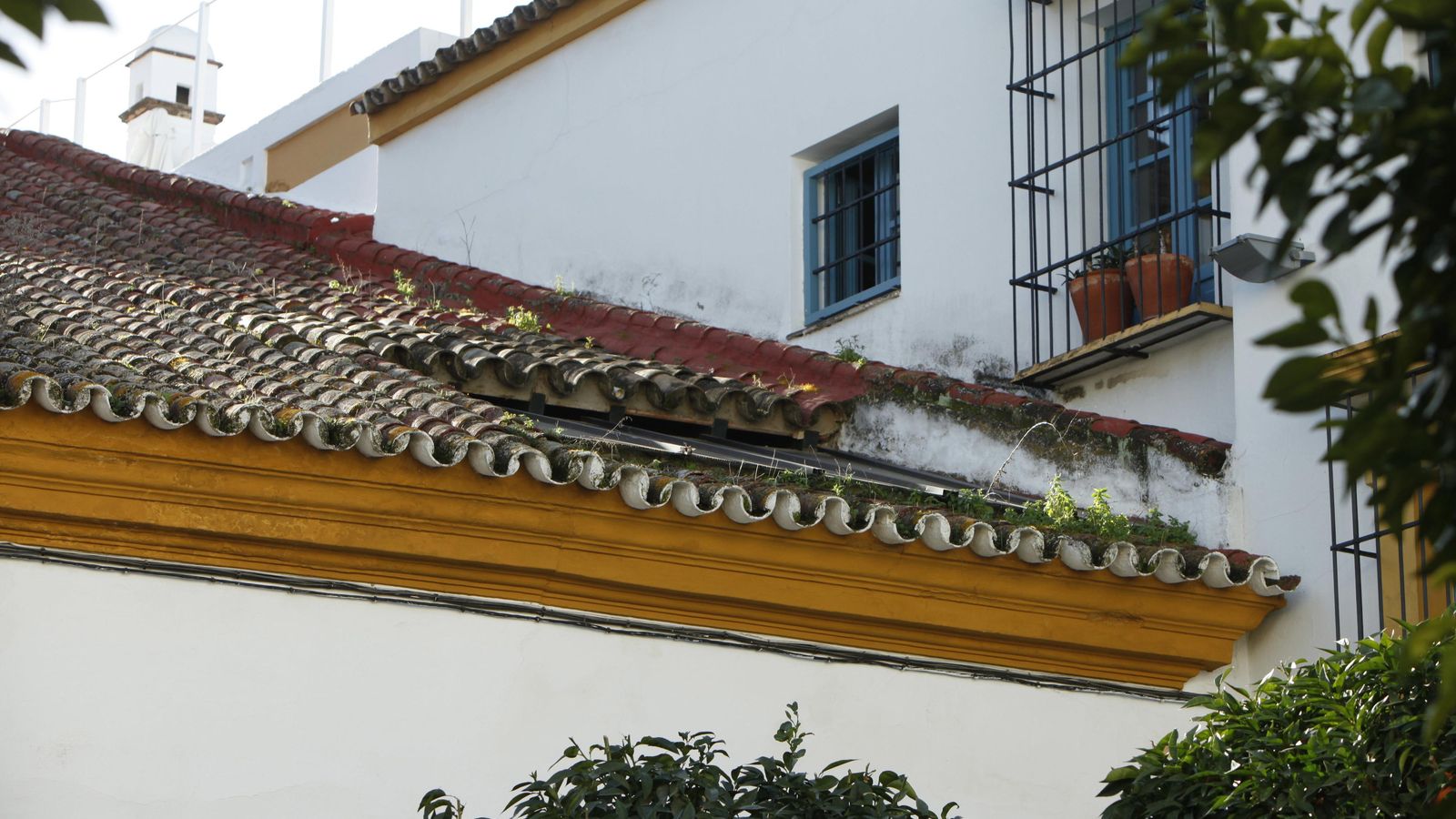 Numerosa vegetación en uno de los tejados de la iglesia.