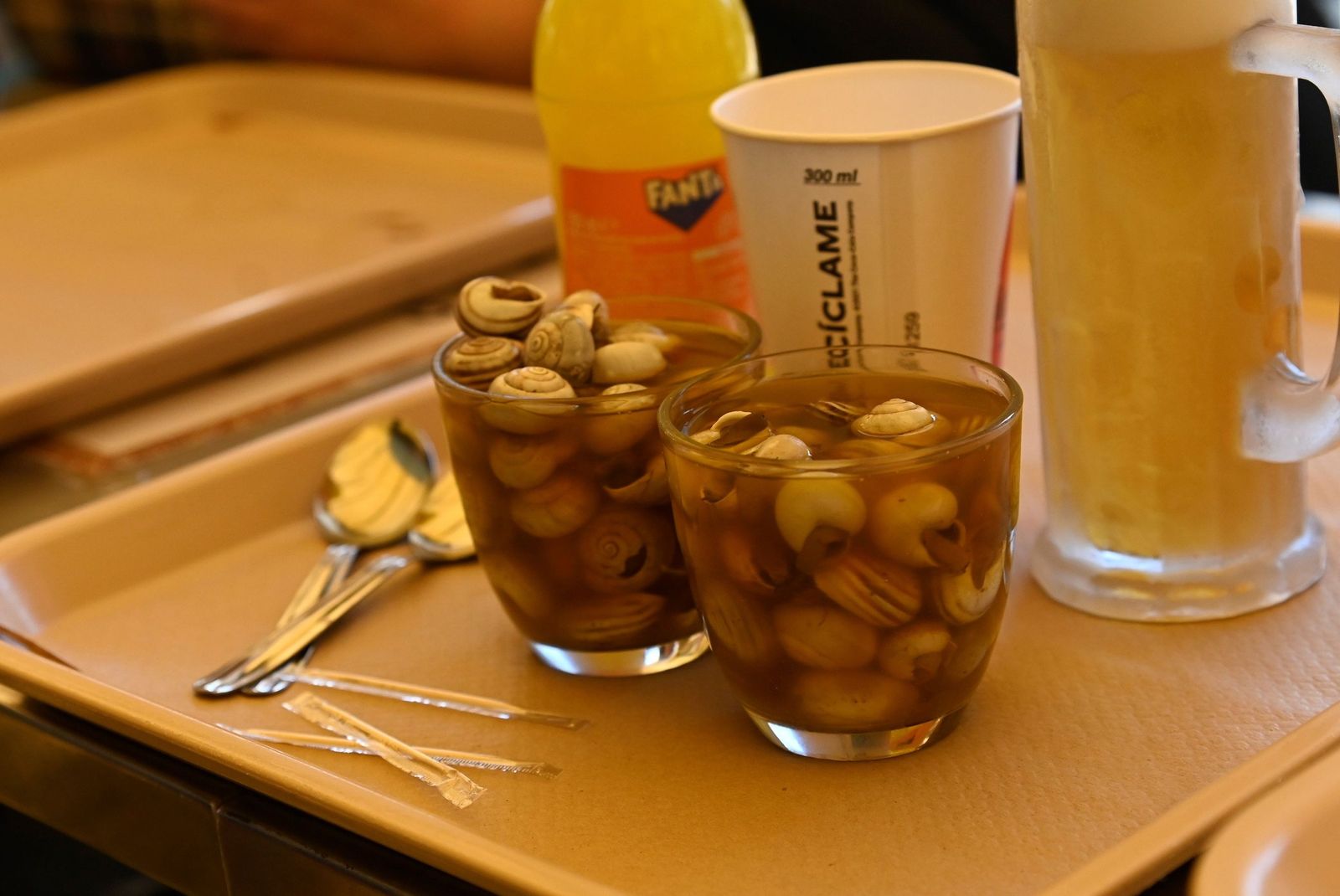 El arranque de la temporada de caracoles en Córdoba, en imágenes