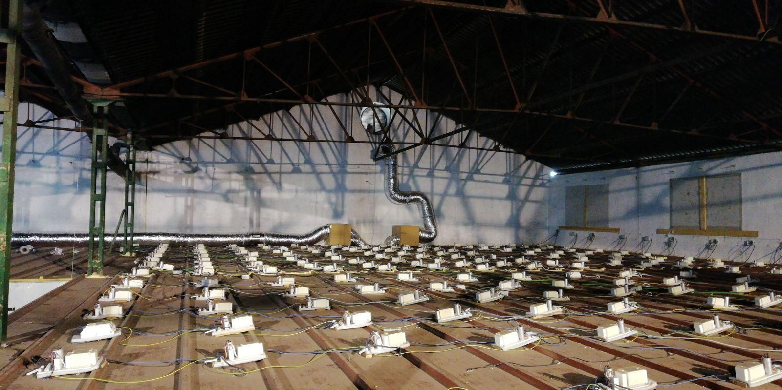 Las imágenes de la plantación de marihuana