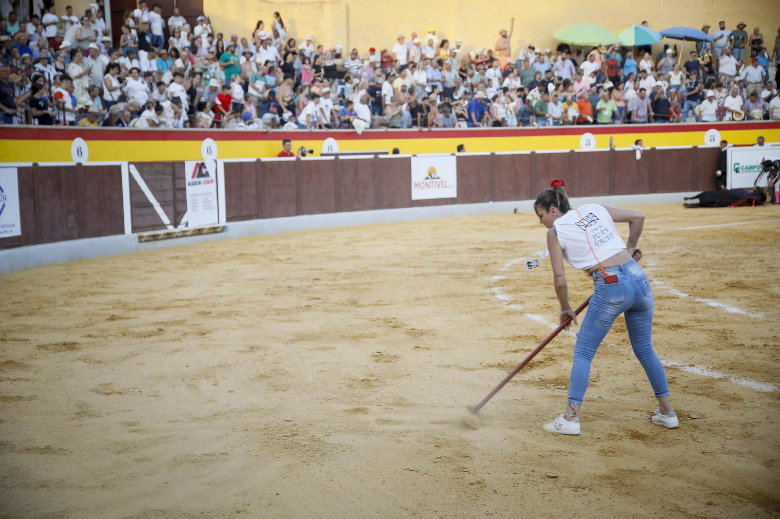 Corrida de toros Berja con un toro indultado, en imágenes