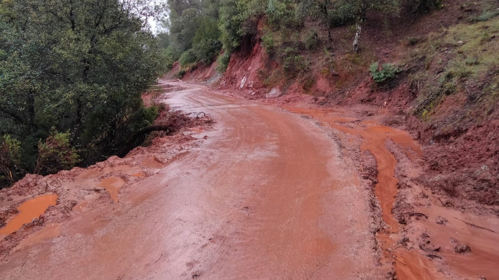 Estado del único carril que da acceso a Coto Ríos.