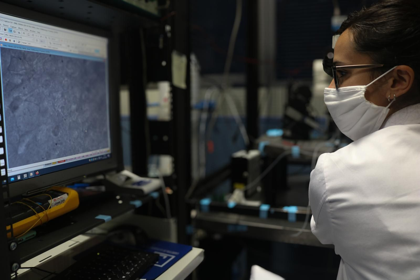 Una investigadora observa el nuevo portal